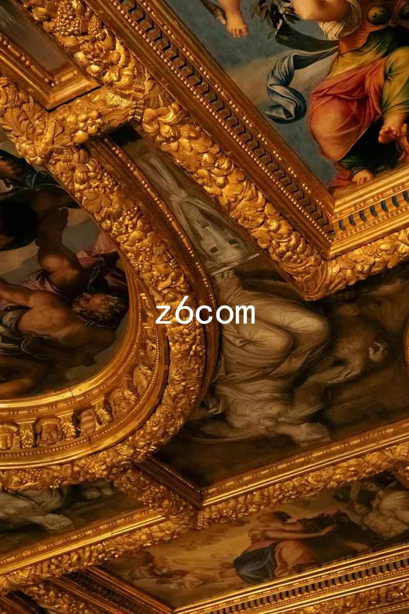z6com